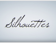 Silhouettes Title – Akil DuPont
