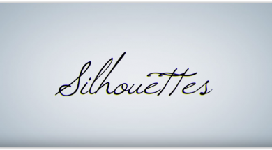 Silhouettes Title – Akil DuPont